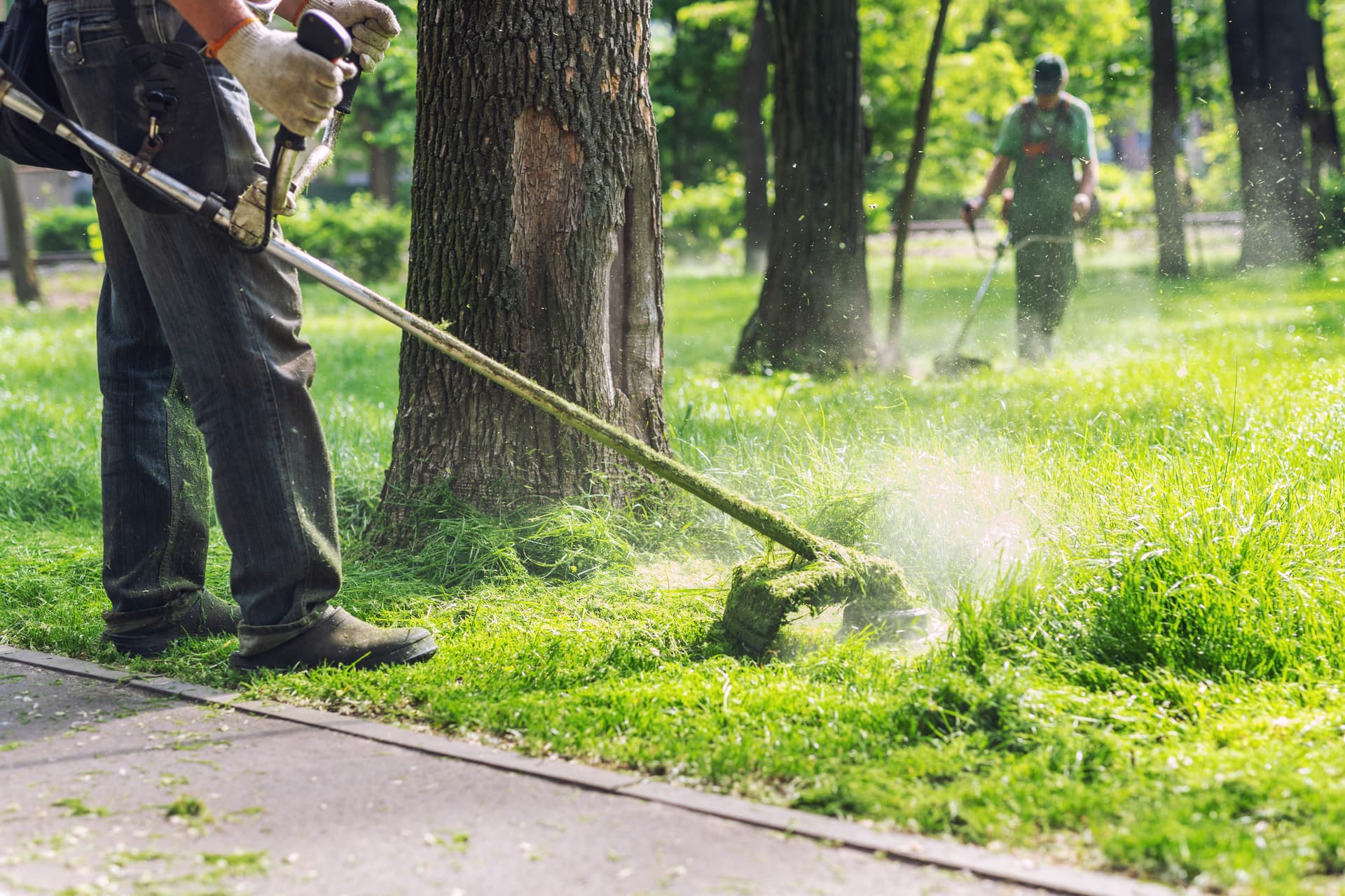 Servicio de mantenimiento de áreas verdes - corte de grama profesional